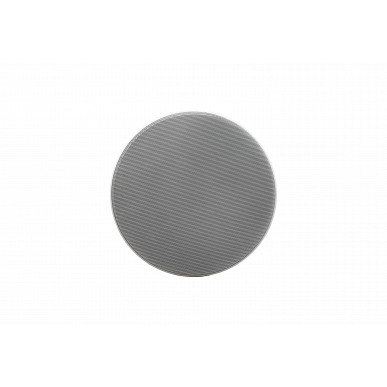 Потолочная акустика Davis Acoustics 165 RO PRO